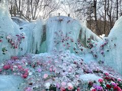 -洛阳白云山景区