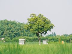 -良渚古城遗址公园