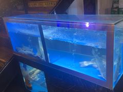-向川南·水煮鱼·川菜(和平里店)