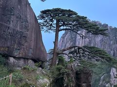 -黄山风景区