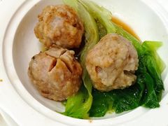 白灼猪肉丸-旭璟酒家·传统粤菜·湘菜(逸景路店)