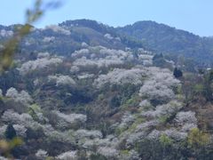 -四明山国家森林公园