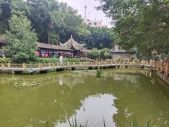 -古真记钵钵鸡(老公园店)