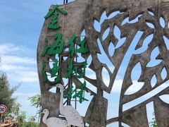 -北海金海湾红树林生态旅游区