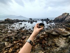 -西涌国际滨海旅游区