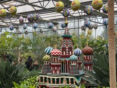 -南宫五洲植物乐园