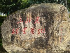 -横道河子东北虎林园