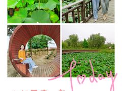 -羊亭河湿地公园