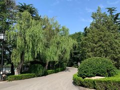 -莱西月湖公园
