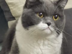 -茂名道烧饼王(海地店)