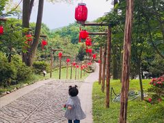 -南山植物园