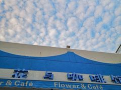 -花与咖啡馆(金星楼店)