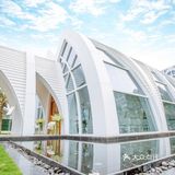 梦寐以求的婚礼