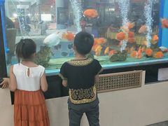 -春园海鲜广场D区6号(钟姐海鲜加工店)