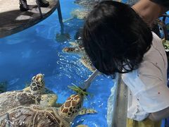 -泉城欧乐堡海洋极地世界