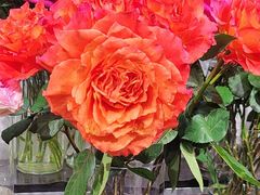 -FEI FEI FLOWER鲜花店·气球派对·宝宝宴布置(虹口德必运动Loft店)