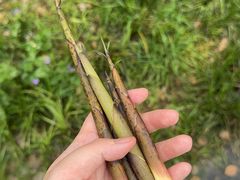 -常州明城墙