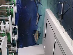 -贝林大翅鲸简餐厅(国家海洋博物馆店)