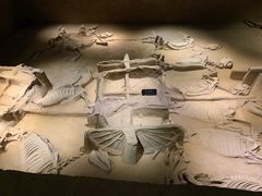 -洛阳周王城天子驾六博物馆