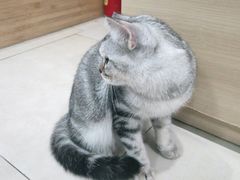 -宠福鑫康馨动物医院·骨科·眼科