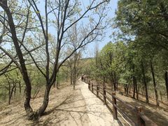 -北京十三陵国家森林公园蟒山景区