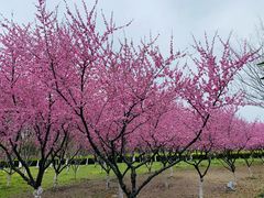 -白塘生态植物园