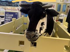 -红星前进面包牛奶公司(君太店)