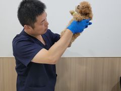 -申普宠物医院·眼科·心内科·影像科(普陀分院)