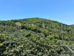 -东山风景区(洞庭东山)
