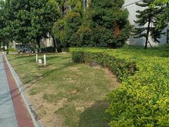 -华侨大学(厦门校区)