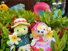 -海南清水湾莱佛士酒店