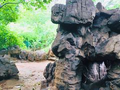 -洛阳市牡丹公园