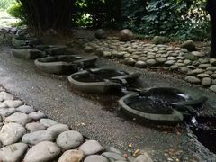 -成都市活水公园