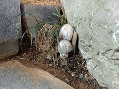 -雅达·阳羡溪山小镇中心