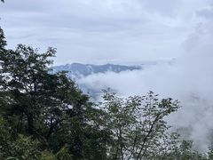 -牛背梁国家森林公园