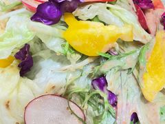 大拌菜-正阳春烤鸭(华捷道店)