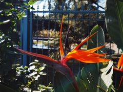 -国家植物园南园