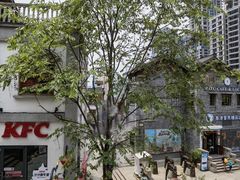 -重庆十八梯传统风貌区