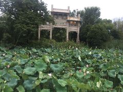 -三嚥阁 La Villa Restaurant