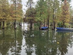 -白鹭湾湿地公园