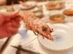 -橼舍鮨青木