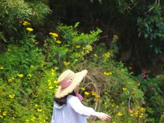 -白云源风景区