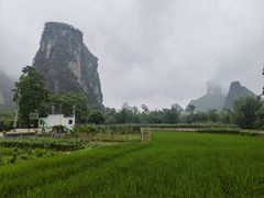 -明仕田园