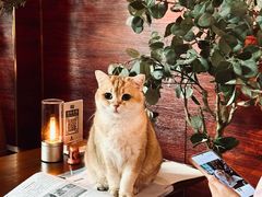 -咖法森林·咖啡  酒吧(天河店)