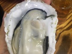 清蒸生蚝-江村四哥新鲜牛肉店(江高总店)