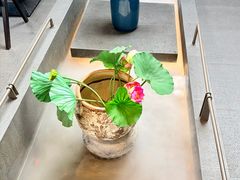-单家老院·院子里的青岛菜(沙子口店)