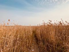 -南汇嘴观海公园