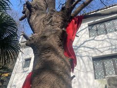 -敬亭山风景名胜区