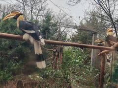 -深圳野生动物园
