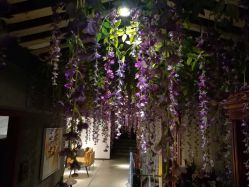 -Cocodemer 产后恢复中心(多伦路店)